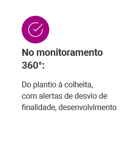 Monitoramento